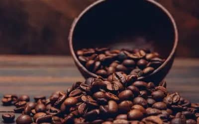 Mercado de commodities: café arábica sobe 1,72% na quarta (19)
