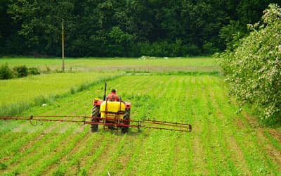 Produtores rurais recebem novas vias de renegociação de dívidas em 2026