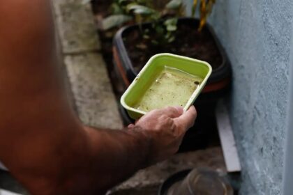 Dengue: São Paulo registra mais de 58 mil casos de dengue desde o início de 2026