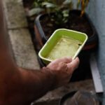 Dengue atinge mais de 58 mil casos em São Paulo, com 42 mortes e 11 em Taubaté