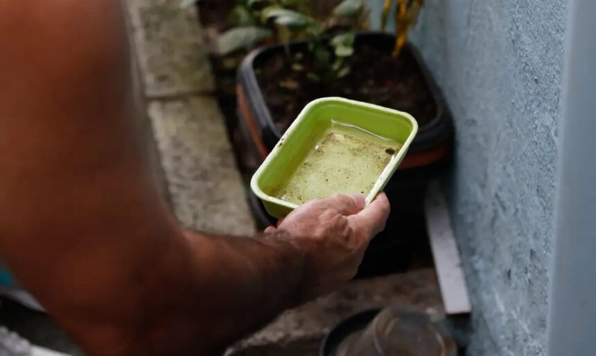 Dengue atinge mais de 58 mil casos em São Paulo, com 42 mortes e 11 em Taubaté