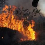 Mais de 500 municípios têm risco alto de fogo previsto até novembro, aponta governo