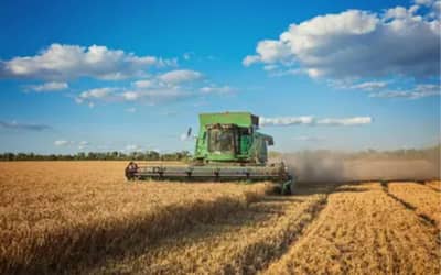 Sapezal lidera produção agrícola nacional em 2025