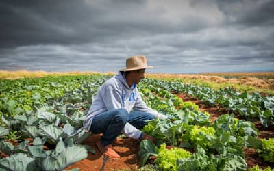 Frente Parlamentar da Agropecuária pede ajustes na renegociação de dívidas rurais