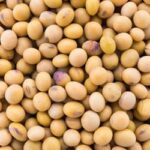 Preços de soja e trigo mostram variações no mercado paranaense (segunda-feira (14))