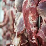 Suspensão de exportação de carne brasileira para UE gera perdas de US$ 243 milhões em frango e 1,828 bilhão em bovino (quinta-feira, 3)