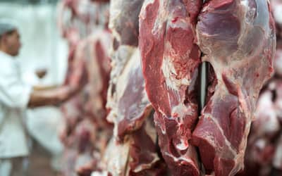 Suspensão de exportação de carne brasileira para UE gera perdas de US$ 243 milhões em frango e 1,828 bilhão em bovino (quinta-feira, 3)