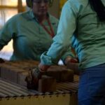 Empregos em minerais críticos e estratégicos crescem 8,6% até 2025